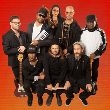 🇨🇦 The Human Rights : reggae engagé, vibes canadiennes et énergie positive au rendez-vous !